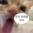 우인정 이미지