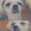 진탕샌 | 용문사 템플스테이 체험형 후기
