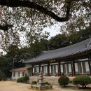 낙동면 비룡리 이미지