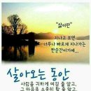 11월12일 목요일 간추린 뉴스 이미지