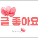 디자인매일