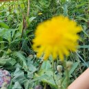 연암재2 이미지