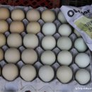 마도농산물재래시장 이미지