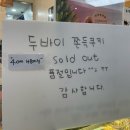 제주 대전 아줌마 민박 | 12월 일상