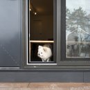 애견민박 멍집 이미지