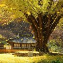 동양 고전 읽기 이미지