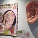 신대동 1-16번지 앞 | 평택탈모, 두피관리부터 이어테라피까지 숲칼프 더 테라피 평택점 힐링 후기