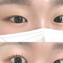 토탈프라자 | 부천 상동속눈썹 잘하는 곳 블랙래빗 속눈썹 수분펌 대만족 후기
