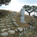 서창 소나무 이미지