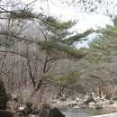 만수계곡 Daum카페