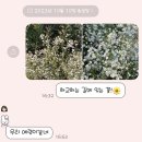 10월의 날씨