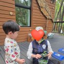 26개월아기와 근교여행, 수락휴 숲 체험 후기, 수락휴 레스토랑 씨즌서울 바이 홍신애 후기