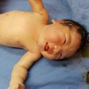 꽃분이PC 이미지