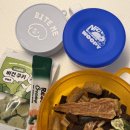 덕심언니 | 강아지랑 둘이 1박 2일 강릉/주문진 후기