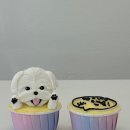 도크도크 | 은평구 연신내 강아지케이크 전문점 도크도크 당일픽업 후기!!