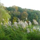 오크랜드 이미지