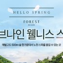 나인포레스트