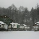 숲속의 이글루 이미지