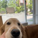 서울준동물병원 이미지