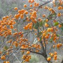 리치모텔 이미지