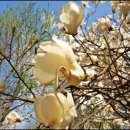 과천시민한의원 이미지