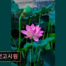 글벗고시원 - 관악구 대학14길 59-14 | 글벗고시원
