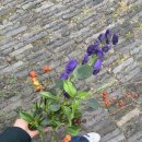 가을플라워스타일링 이미지