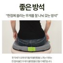 대한신경외과의사회사무국 | 8시간 이상 앉아 계셨죠? 허리·엉덩이가 보내는 경고 신호입니다 (밸런스온 시그니처 시트 방석 후기)