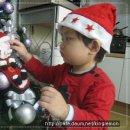 핑크트리 이미지