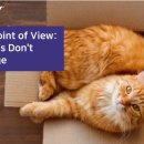 세바코리아 이미지