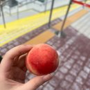 어랑아랑 | 7월 내 지능을 돌려줘