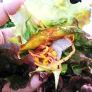 산골짜기쌈밥마을 이미지