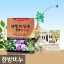 웰리브홀딩스 이미지