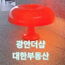 광안더샵대한공인중개사사무소 이미지