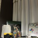 수원-1432 | 수원 행궁동 맛집 <몽상가옥> 애견 동반 가능한 레트로 감성 식당 내돈내산 후기