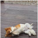 여행천국펜션 이미지