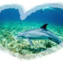 이응다리 남측 화장실 이미지