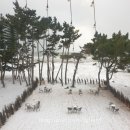커피홀베이커리태안청포대점 이미지