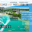 거북이건강