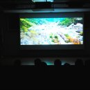 산내의원 이미지