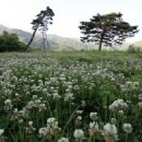 벽소령민박 이미지