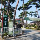 강릉 기념품 대상 수상한 초당 순두부 거리 강원옥 찹쌀떡 선물로 구입한 후기