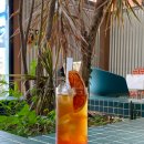 장흥청소년수련관 | 스타벅스보다 맛있는 허니자몽블랙티 장흥 카페 오차현