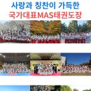 국가대표MAS태권도장 이미지
