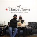 스타미용타운 이미지