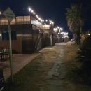 제주도게스트하우스파티달이머물 | 제주도 게하 파티 즐기기 괜찮은 곳 추천, 제주게토 게스트하우스 방문 후기