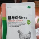 꽃내음약국 이미지