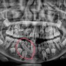 아름다운e치과교정과치과의원 이미지