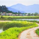 여름이야기 이미지