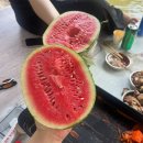 대구 근교 평상 계곡 추천 취사 가능한 군위 동산계곡 솔밭야영장 직접 다녀온 내돈내산 솔직후기